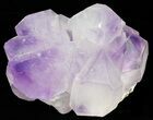 Amethyst Crystal Cluster - Morocco #57045-1